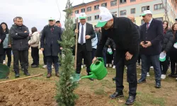 Kocaeli Çayırova’da fidanlar toprakla buluştu