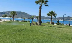 Büyükşehir ekipleri haşereye geçit vermiyor